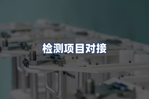 检测项目对接